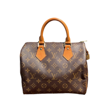 Louis Vuitton Speedy 25 Bag