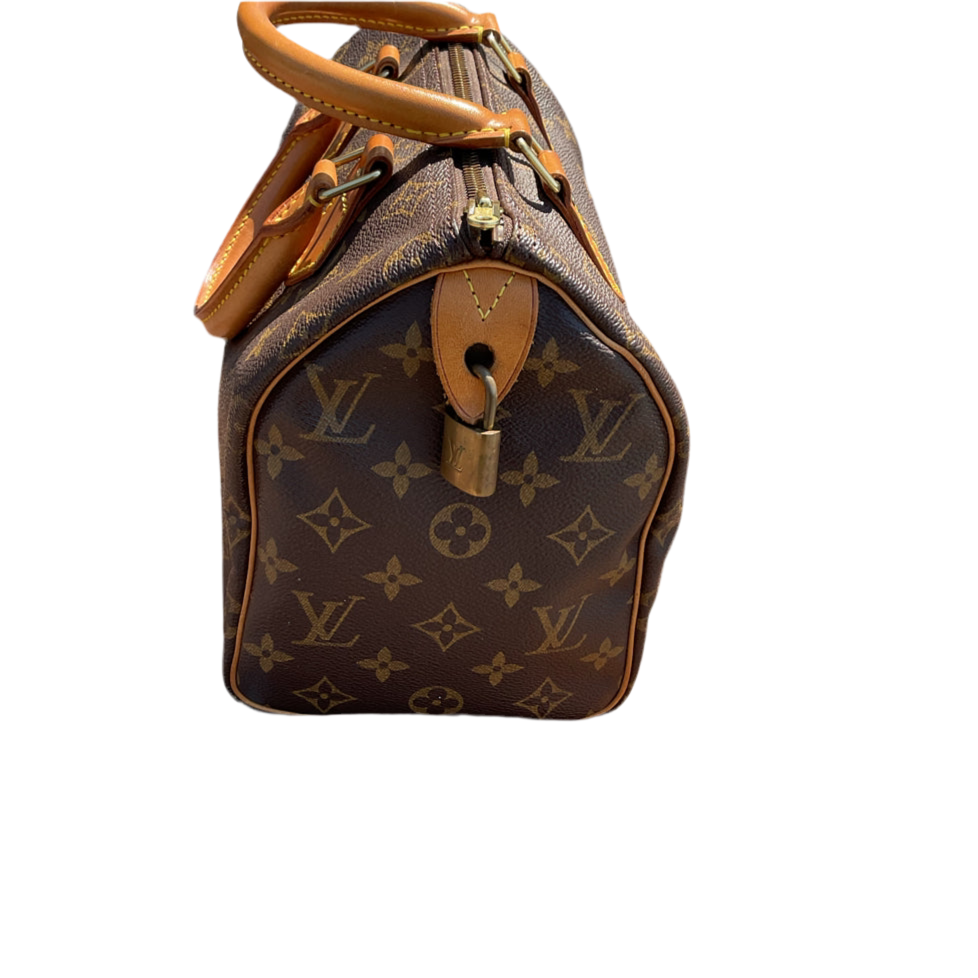 Bolso Louis Vuitton Speedy 25