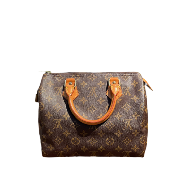 Bolso Louis Vuitton Speedy 25