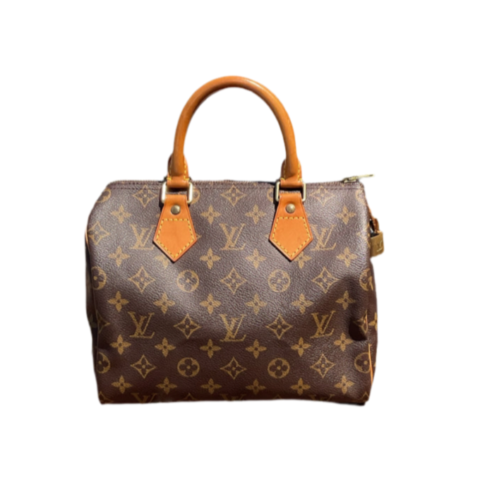 Bolso Louis Vuitton Speedy 25