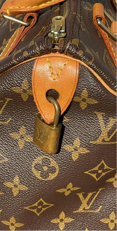 Bolso Louis Vuitton Speedy 25
