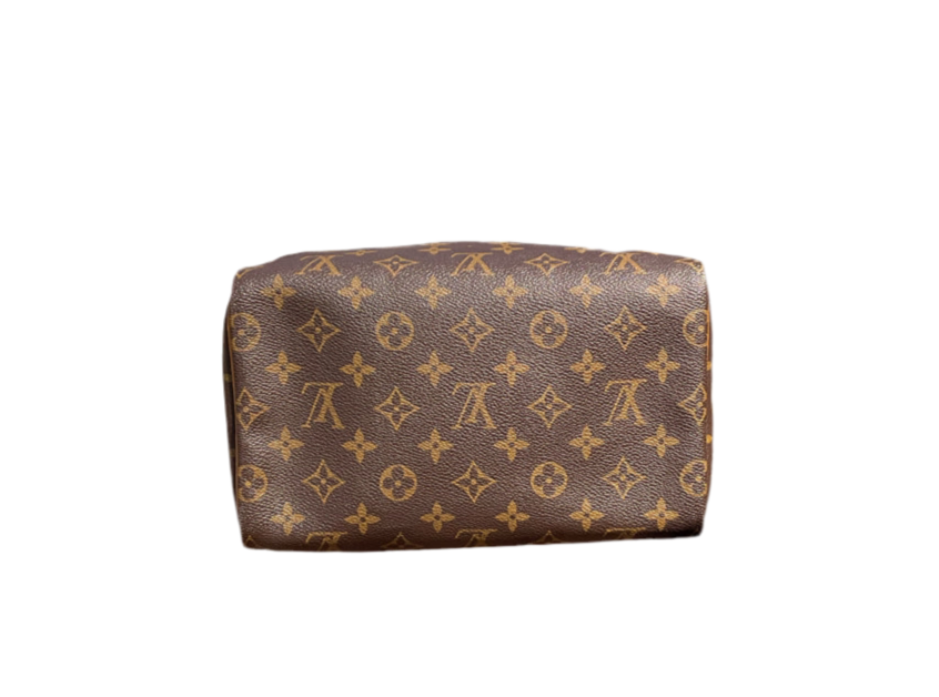 Bolso Louis Vuitton Speedy 25