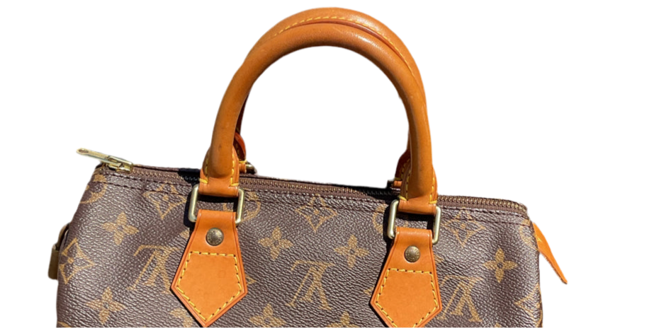 Bolso Louis Vuitton Speedy 25
