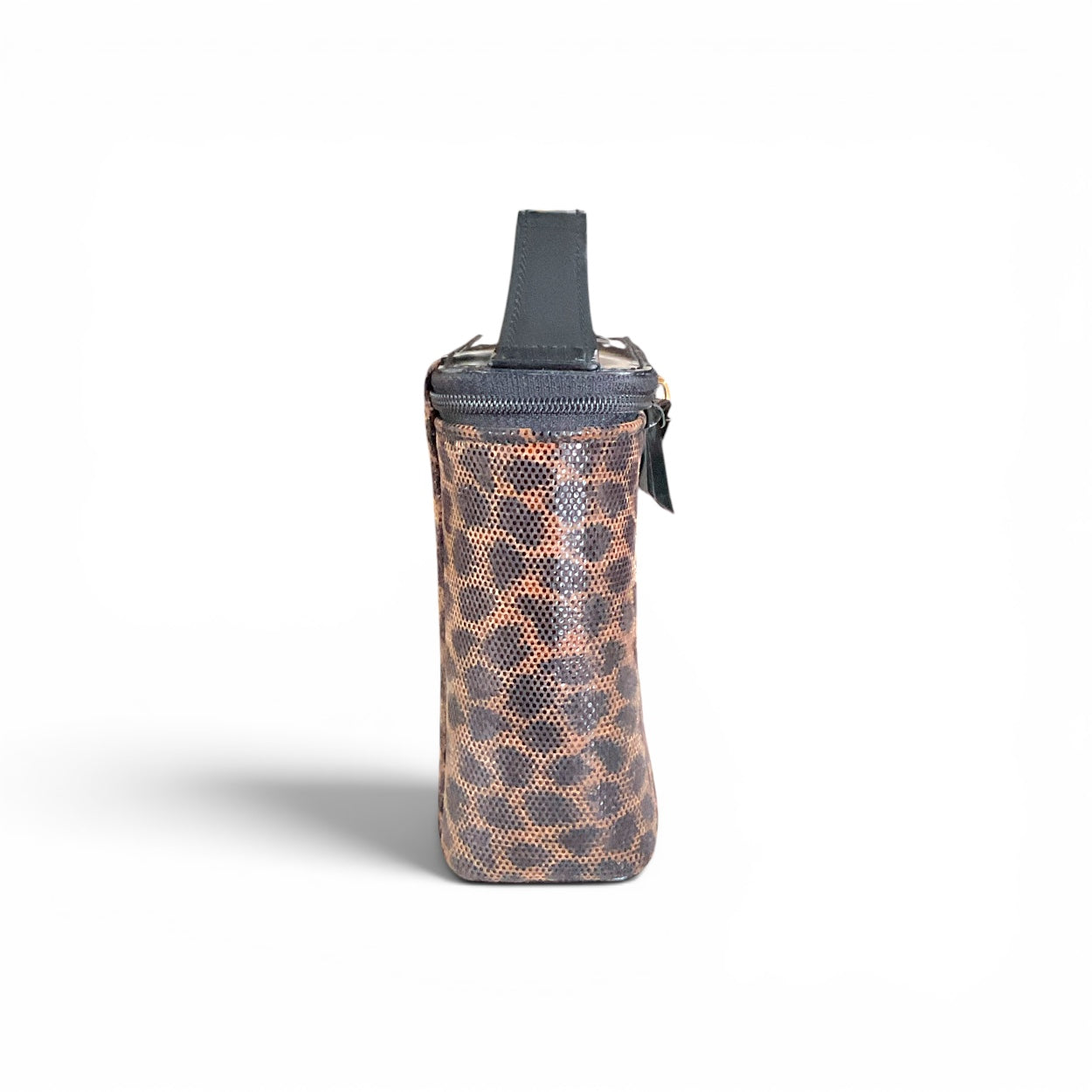 Loewe Leopard Print Vanity Bag
