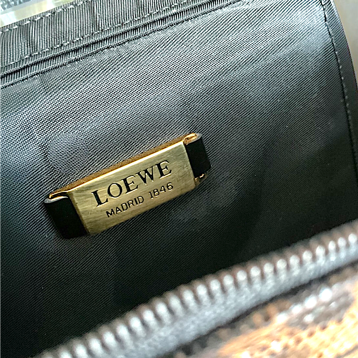 Loewe Leopard Print Vanity Bag