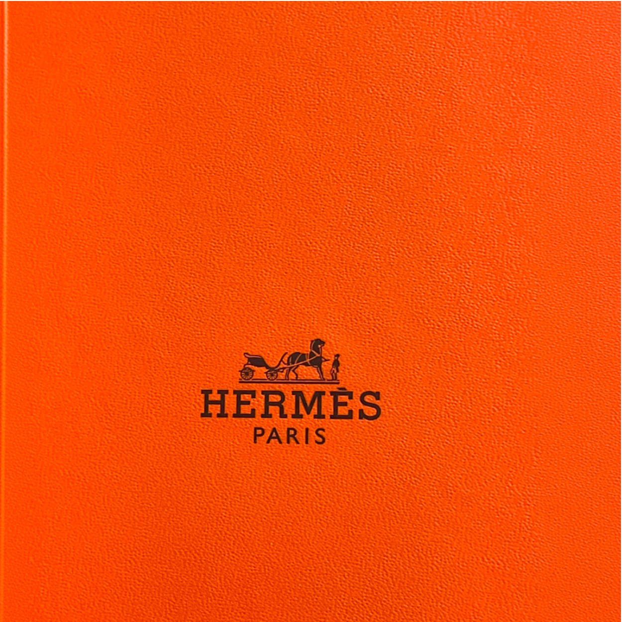 Hermes Pouch