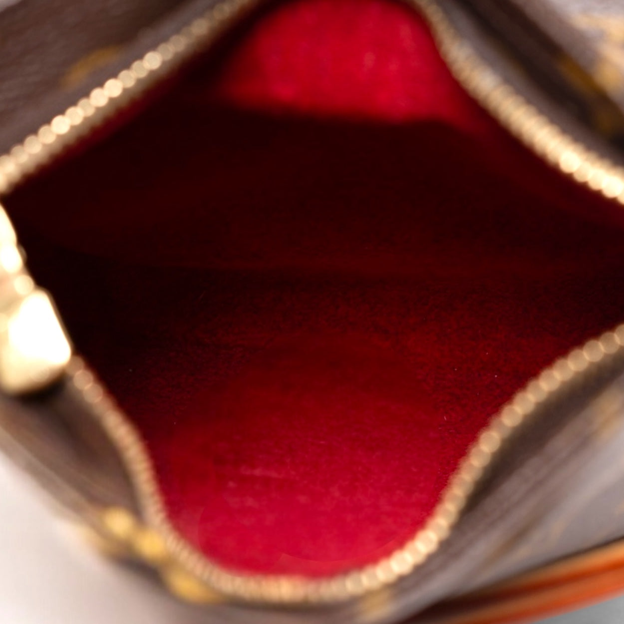 Louis Vuitton Trennwandtasche